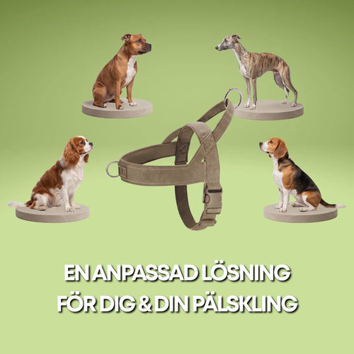 PullGuard - Antidrag sele