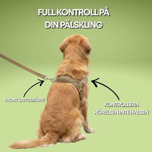 PullGuard - Antidrag sele