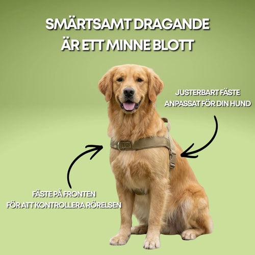 PullGuard - Antidrag sele