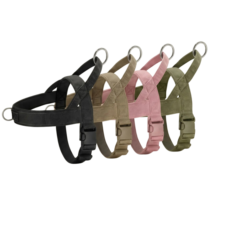 PullGuard - För stressfria promenader